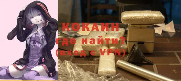 сатива Аркадак