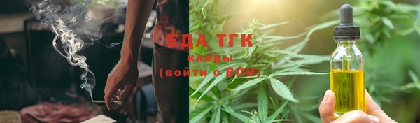 сатива Аркадак