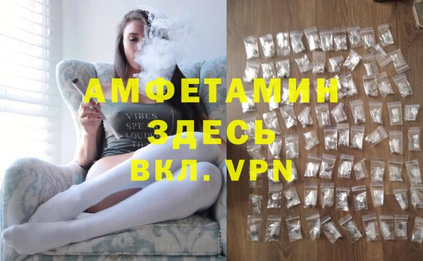 сатива Аркадак