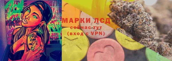 сатива Аркадак