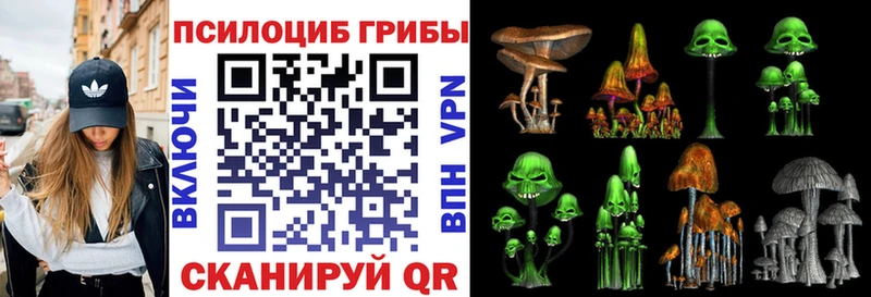 Псилоцибиновые грибы мухоморы  цены наркотик  Талдом 